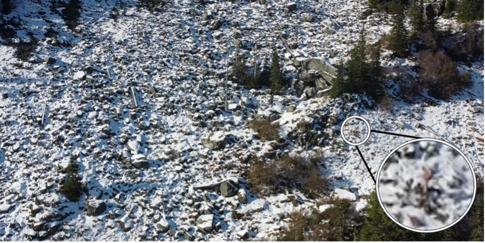 Eagle Eyes snow detection example