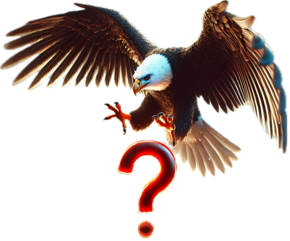 Eagle Eyes FAQ