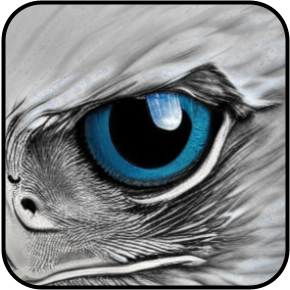 Eagle Eyes Footer Logo