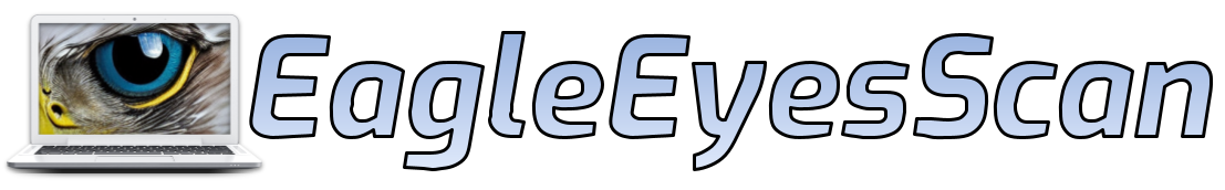 Eagle Eyes Search Description